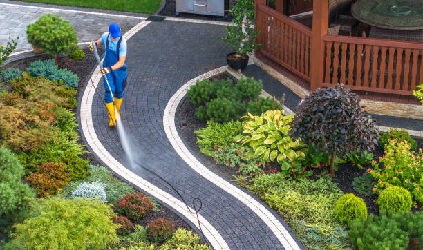 Best Roof Power Washing Services  in Markham, IL